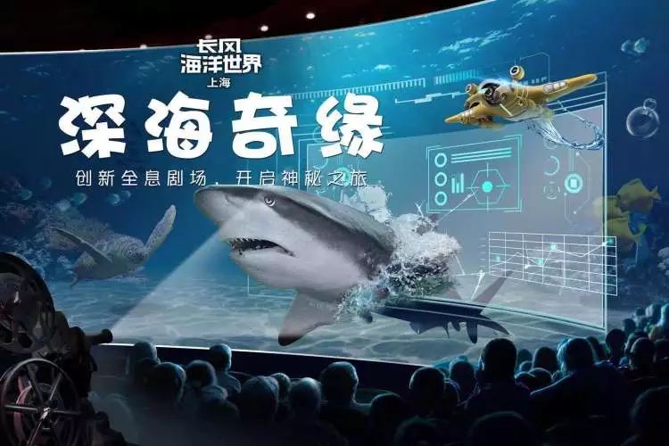 可以直接看的无码av:01-15-16-33-43-47M:16,探索数字世界的神秘角落,可以直接看的无码内容探索之旅