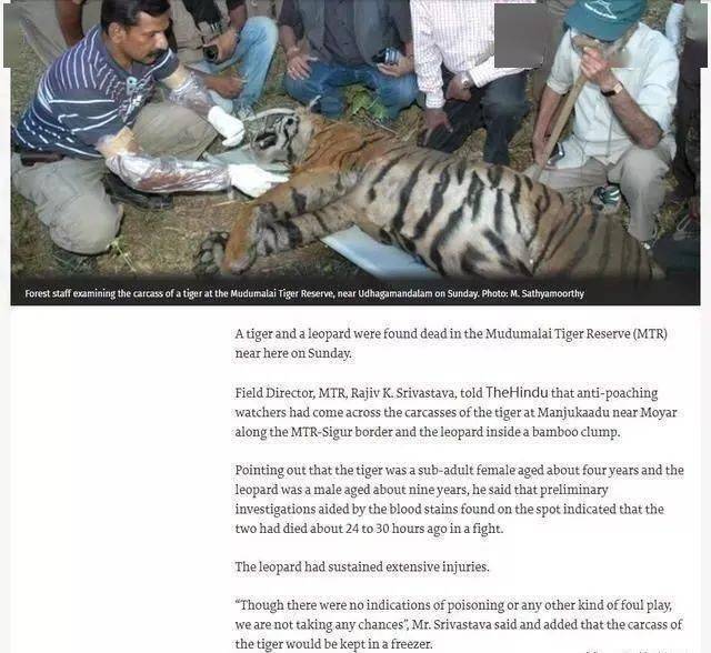 四虎WWW成人影院观看:18-19-29-31-38-43W:40,探索四虎WWW成人影院,一场视觉盛宴的探寻之旅