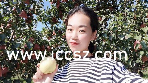 国产精品美女久久久浪潮AV:06-29-37-44-47-49X:46,国产精品美女浪潮,探索AV系列中的美丽与魅力