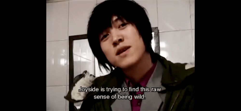 青青青爽在线视频免费观看:13-16-17-22-29-34Y:13,青青青爽在线视频免费观看,探索优质内容的无限可能