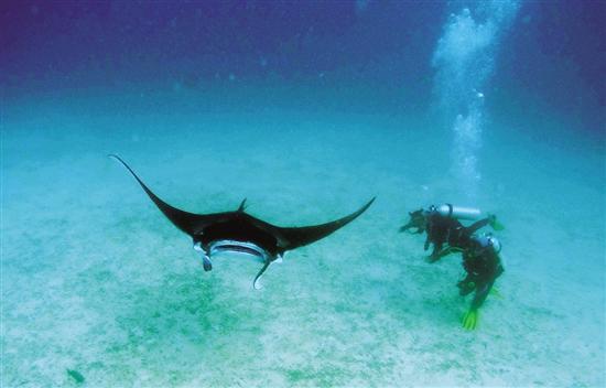 啊灬啊别停灬用力啊岳:04-14-33-38-42-43H:32,探索未知,深度解析数字背后的含义