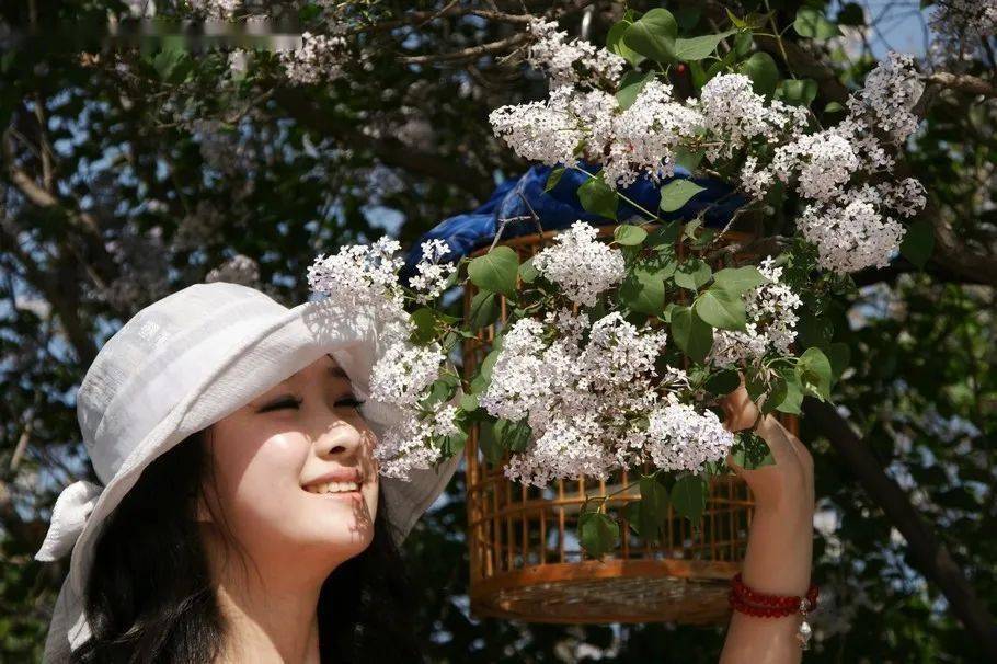 日日噜噜夜夜狠狠久久丁香五月:02-10-22-24-45-48P:02,日日噜噜夜夜狠狠久久丁香五月,一场时间的探索与生命的颂歌