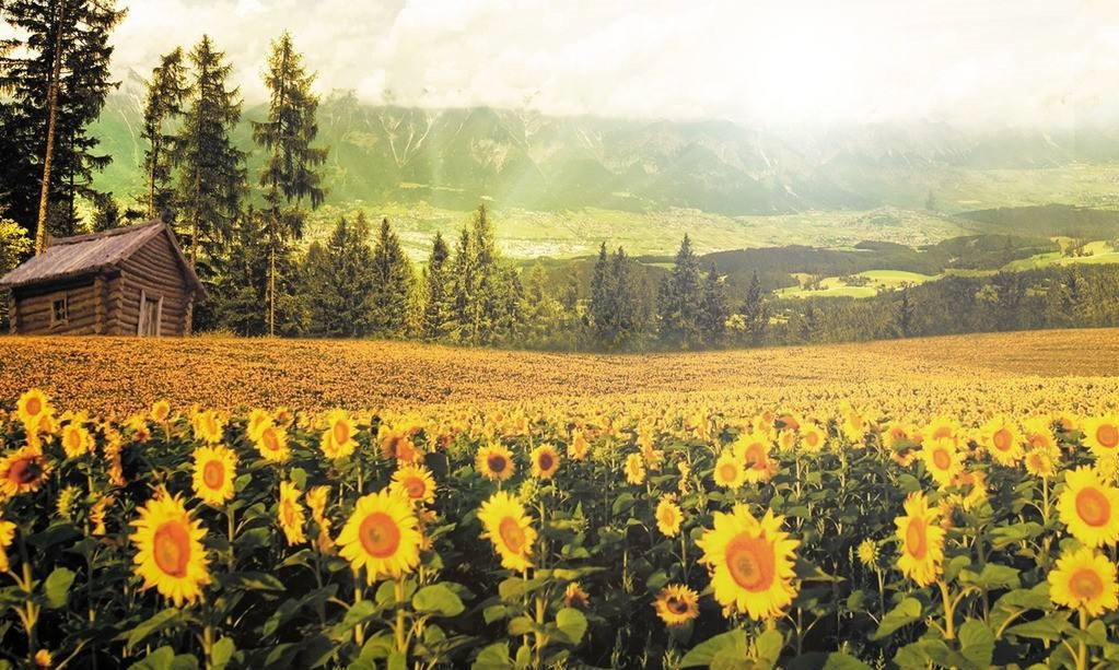 国产精品自在欧美一区:03-13-18-22-27-31X:40,国产精品在欧美一区的独特魅力,深度解析与探索