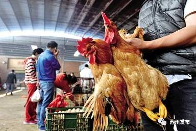 婀娜多姿 第4页