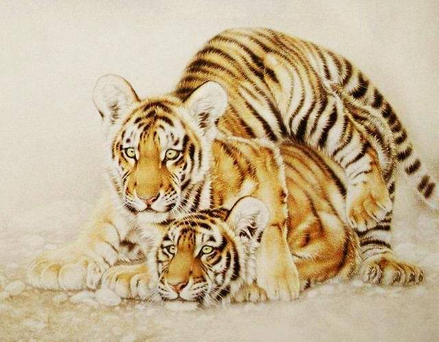 四虎永久在线精品免费A:04-06-09-23-27-38N:47,四虎永久在线精品免费,探索优质内容的无尽魅力与共享价值