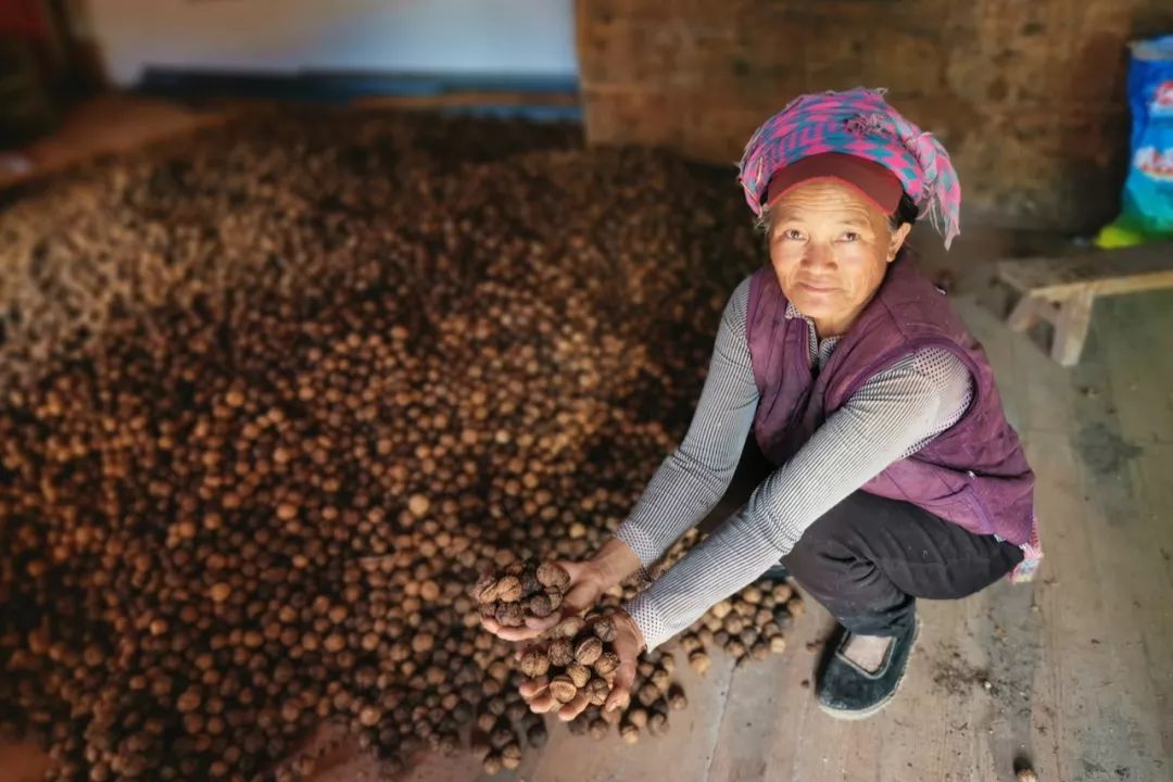 老熟妇乱子伦牲交视频:11-12-16-20-28-47M:27,老熟妇乱子伦牲交视频的探讨与反思(关键词分析)