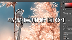 亚洲国产精品原创巨作av:01-18-28-43-45-47V:42,亚洲国产精品原创巨作,探寻数字背后的文化魅力