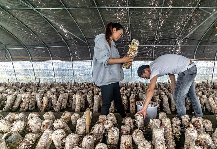 国产乱子伦农村xxxx:16-27-33-35-43-48X：38,国产乱子伦农村，变迁与挑战