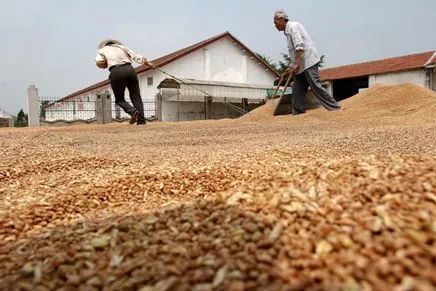 国产乱子伦农村xxxx:16-27-33-35-43-48X:38,国产乱子伦农村,变迁与挑战