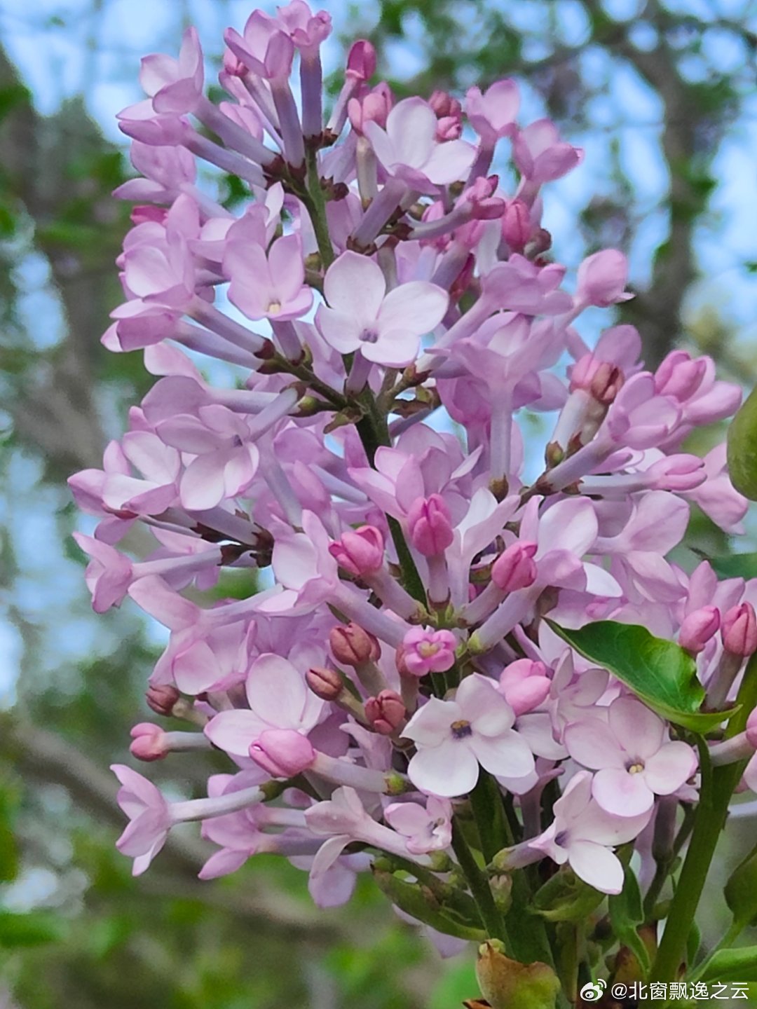 一箭双雕 第3页