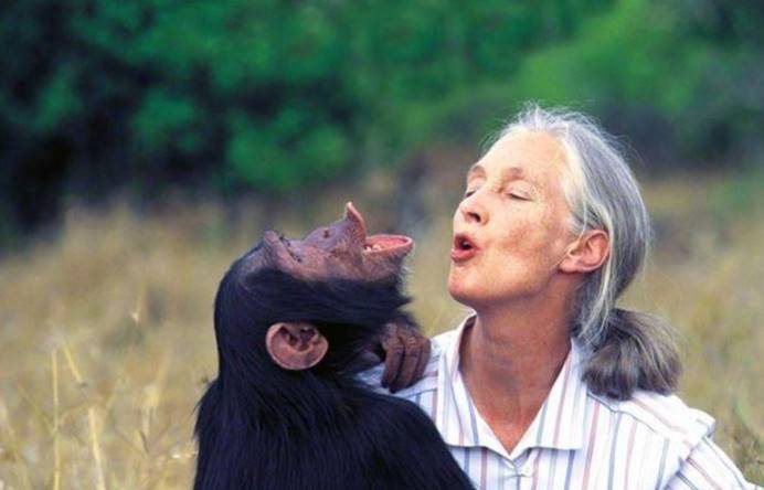 688欧美人禽杂交狂配:05-09-10-16-22-31W:23,探索未知领域,关于688欧美人禽杂交狂配的探讨(2005-2009年)