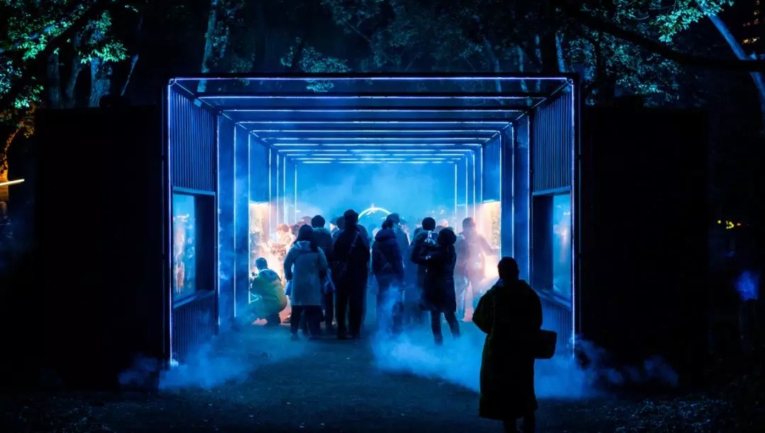 夜夜添无码试看一区二区三区:07-10-17-24-32-41D:40,探索数字世界的神秘角落,无码试看一区二区三区