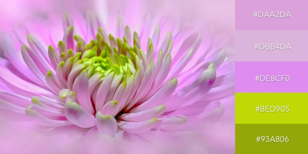 色综合色狠狠天天综合色:14-24-30-35-43-46D:47,探索色综合色的魅力,从深度解析到多彩体验