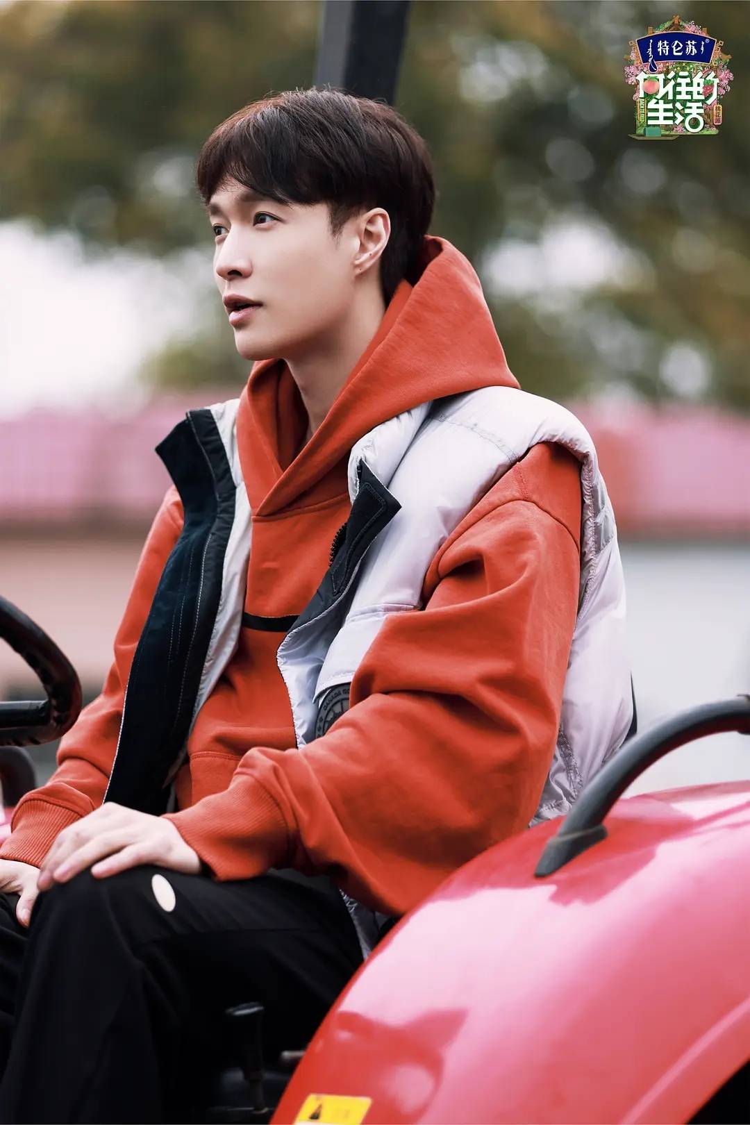 50岁熟妇大白屁股真爽:08-16-30-40-43-44K：15,探索熟妇的魅力时光——一场关于成熟与真实的故事