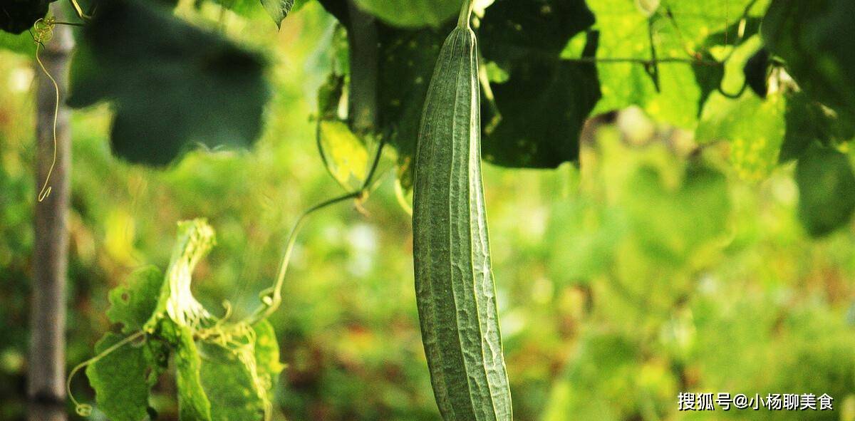 小鸟依人 第3页