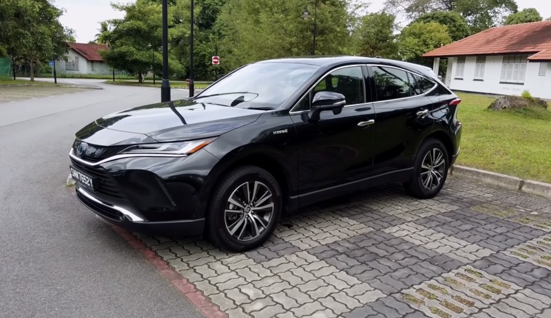 真实国产乱人伦在线视频播放:18-19-29-31-38-43W:40,真实国产乱人伦在线视频播放,探索与反思