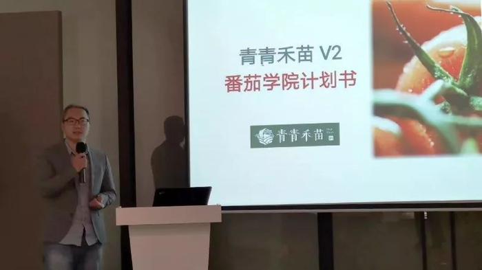 一本大道在线一本久道:01-17-19-23-25-43W:09,一本大道在线,探索数字时代的深度与广度