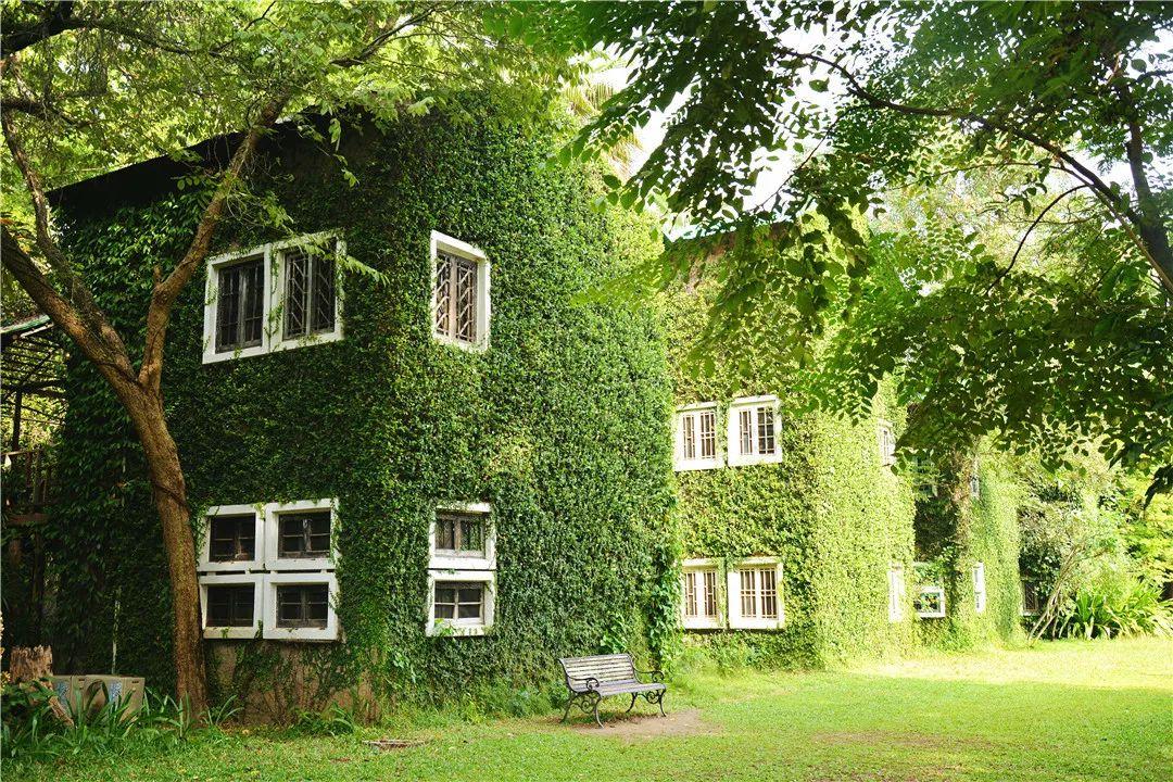 精品免费人成视频网:06-13-25-34-44-46F：35,精品免费人成视频网，探索优质视频内容的无限可能