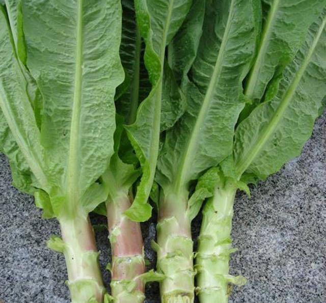 少妇无码太爽了不卡视频在线看:09-15-20-22-36-38G:18,探索在线视频世界,少妇无码的魅力与自由