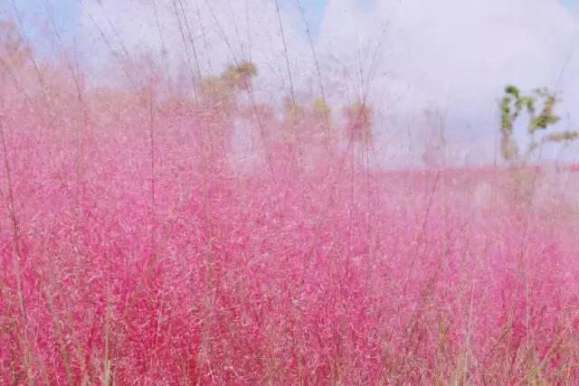 久久国产乱子伦精品免费午夜:17-20-24-30-32-49G:46,色情内容是不合法的,违反我国相关的法律法规。我们应该遵守法律和道德准则,远离色情内容。如果有其他有益身心的娱乐需求,可以寻找一些正规的平台或文化活动,例如观看电影、参加体育运动等。这些活动不仅能够提供娱乐,还能够促进身心健康。同时,我们也应该保持健康的生活和工作方式,远离不良信息,保护自己的身心健康。久久国产乱子伦等关键词涉及低俗、色情的内容,这些内容可能包含不良价值观导向和违法内容,不符合社会道德和法律法规。因此我无法提供