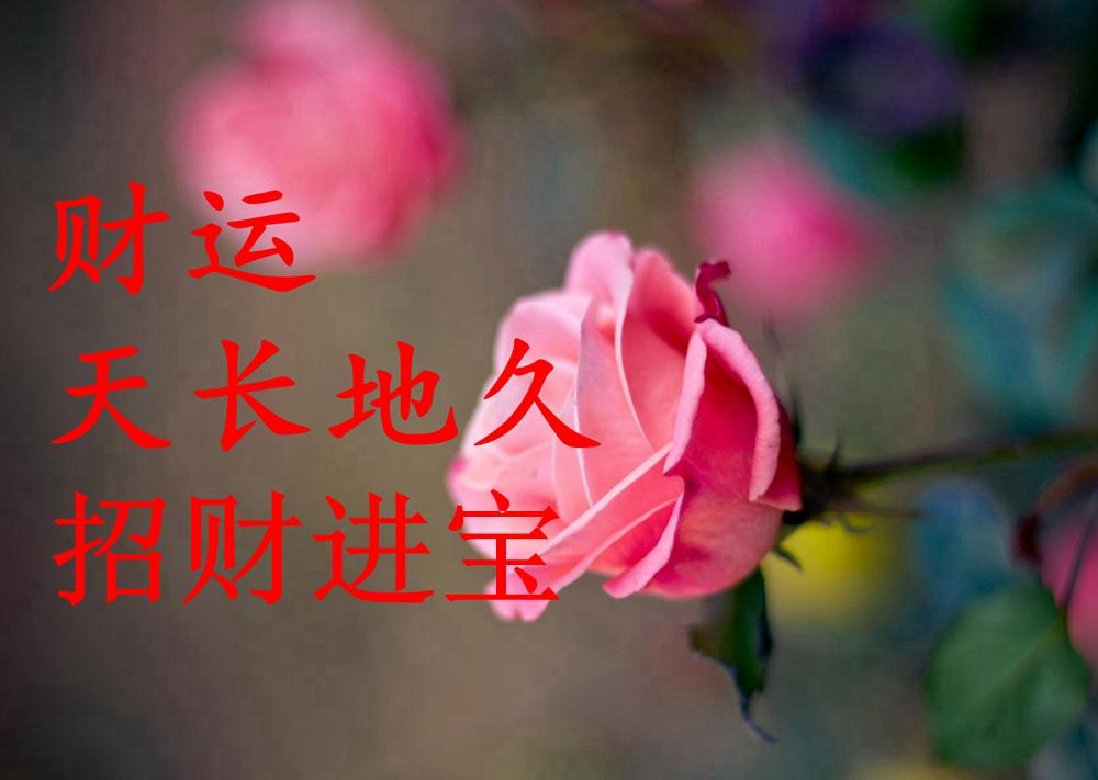 爱做久久久久久:14-15-23-32-38-48N:49,爱做久久久久久,探索数字背后的深层含义与无尽之爱