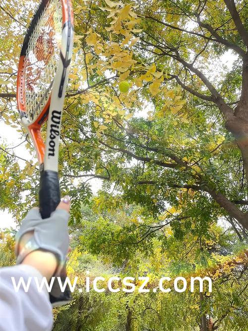 国产精品三级美女网站全黄真人一级毛片:01-02-06-09-18-24R:45,探索国产精品美女网站,全黄真人与一级毛片的魅力(01-02-06-09-18-24R,45)