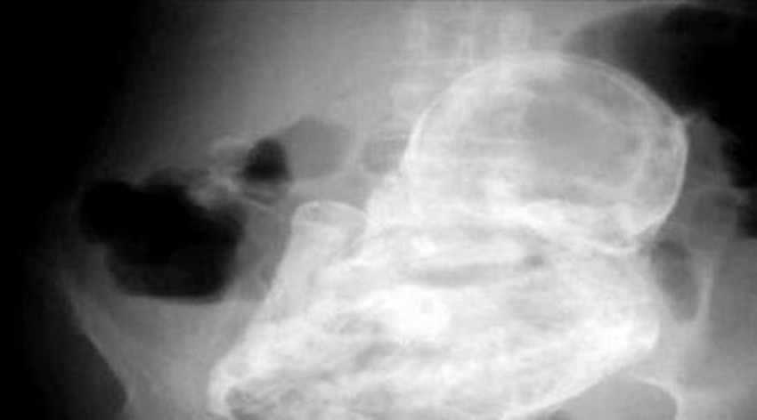 性xxxx欧美老妇506070:09-32-36-40-42-47L:30,性魅力与欧美老妇的独特风采,跨越年龄界限的欣赏与尊重