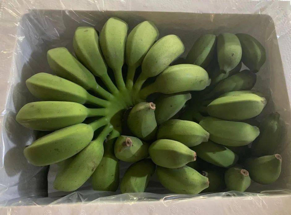 精品国产一区二区三区香蕉:14-16-20-22-34-45E:03,探索精品国产香蕉的魅力,一区、二区、三区的独特体验