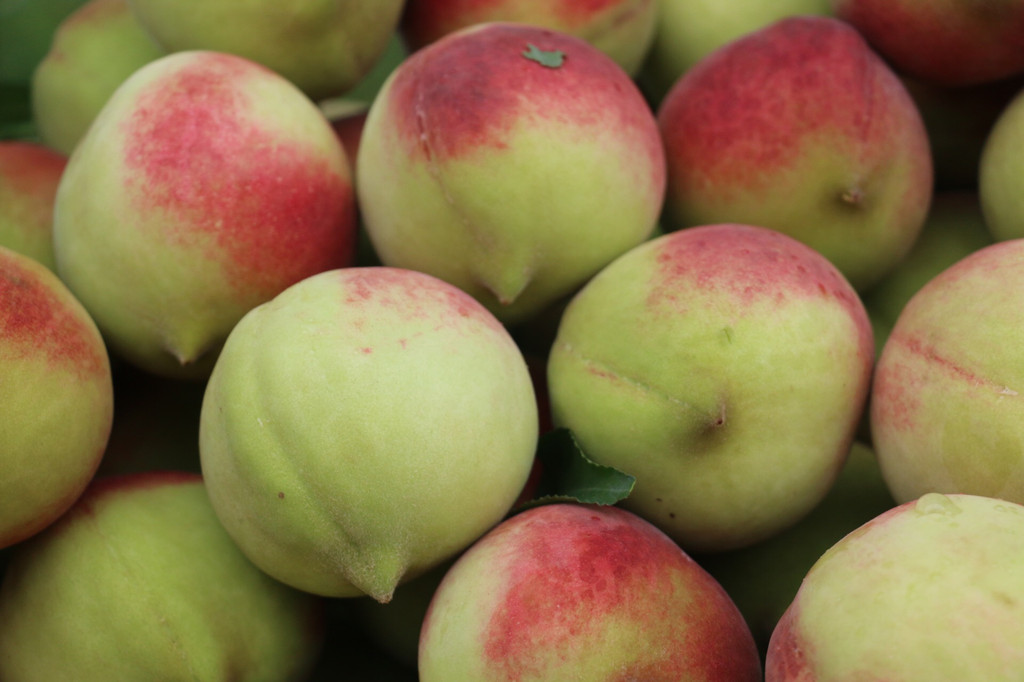 精品无码久久久久久久久水蜜桃:06-24-25-37-46-49Z：09,探索精品无码水蜜桃的世界，一场奇妙的水果之旅