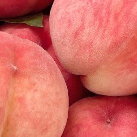 精品无码久久久久久久久水蜜桃:06-24-25-37-46-49Z:09,探索精品无码水蜜桃的世界,一场奇妙的水果之旅