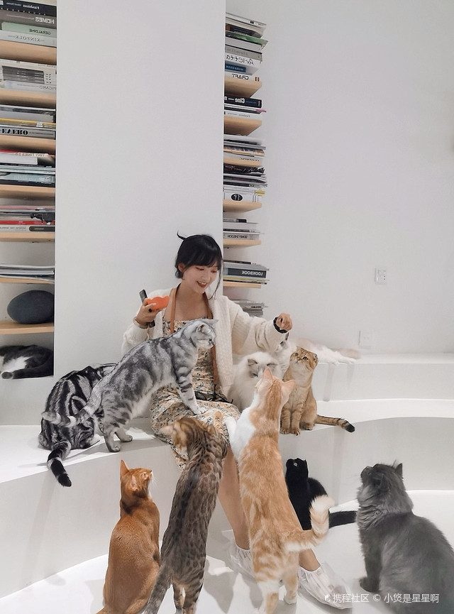 国产成人精品一区二区3:14-23-27-34-35-41E:49,关于国产成人精品一区二区的内容与探索,一种文化现象的多角度解读