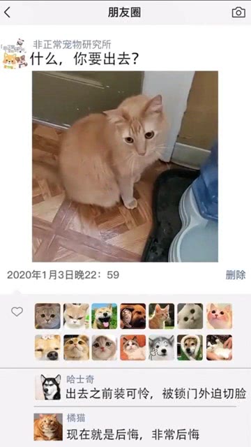 顶弄裸睡的丹丹 第二部分:04-06-09-23-27-38N:47,顶弄裸睡的丹丹,一场独特的梦境之旅