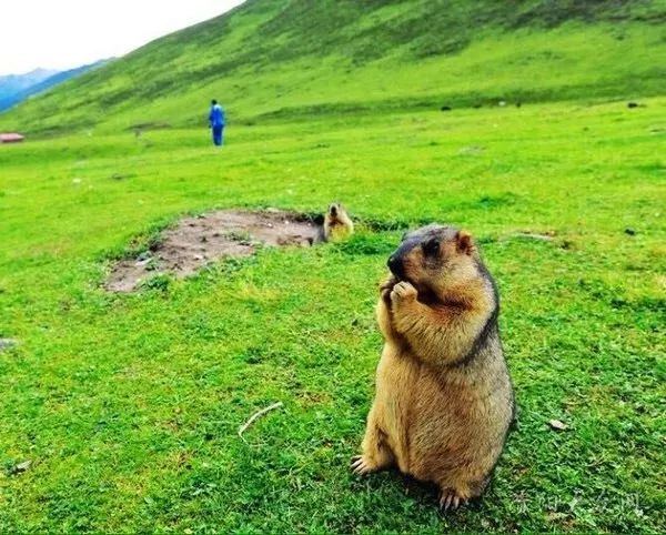 盲人瞎马 第3页