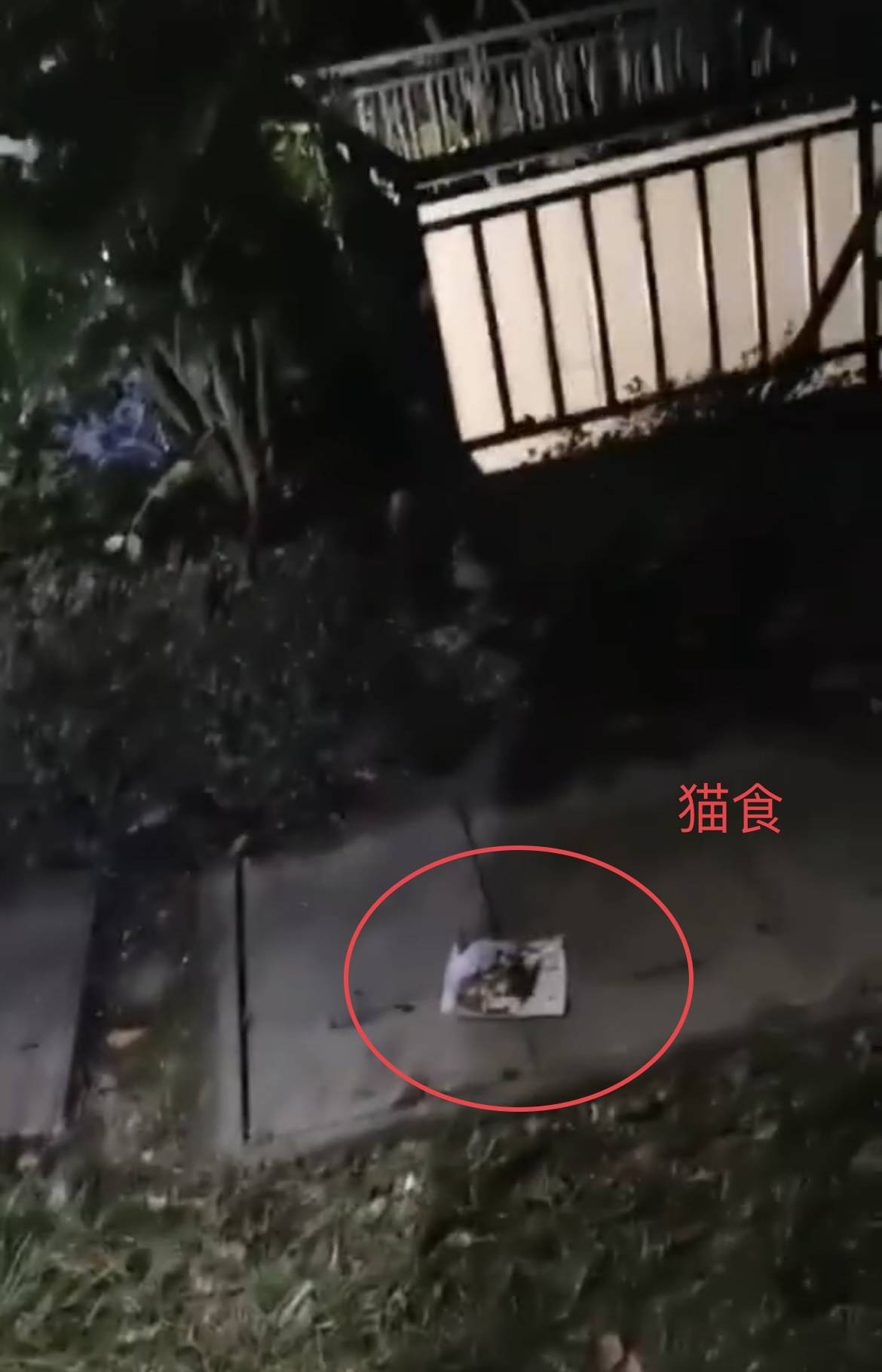 午夜性色一区二区三区不卡视频:01-11-20-24-34-46W:34,午夜性色一区二区三区不卡视频,探索成人娱乐的新境界