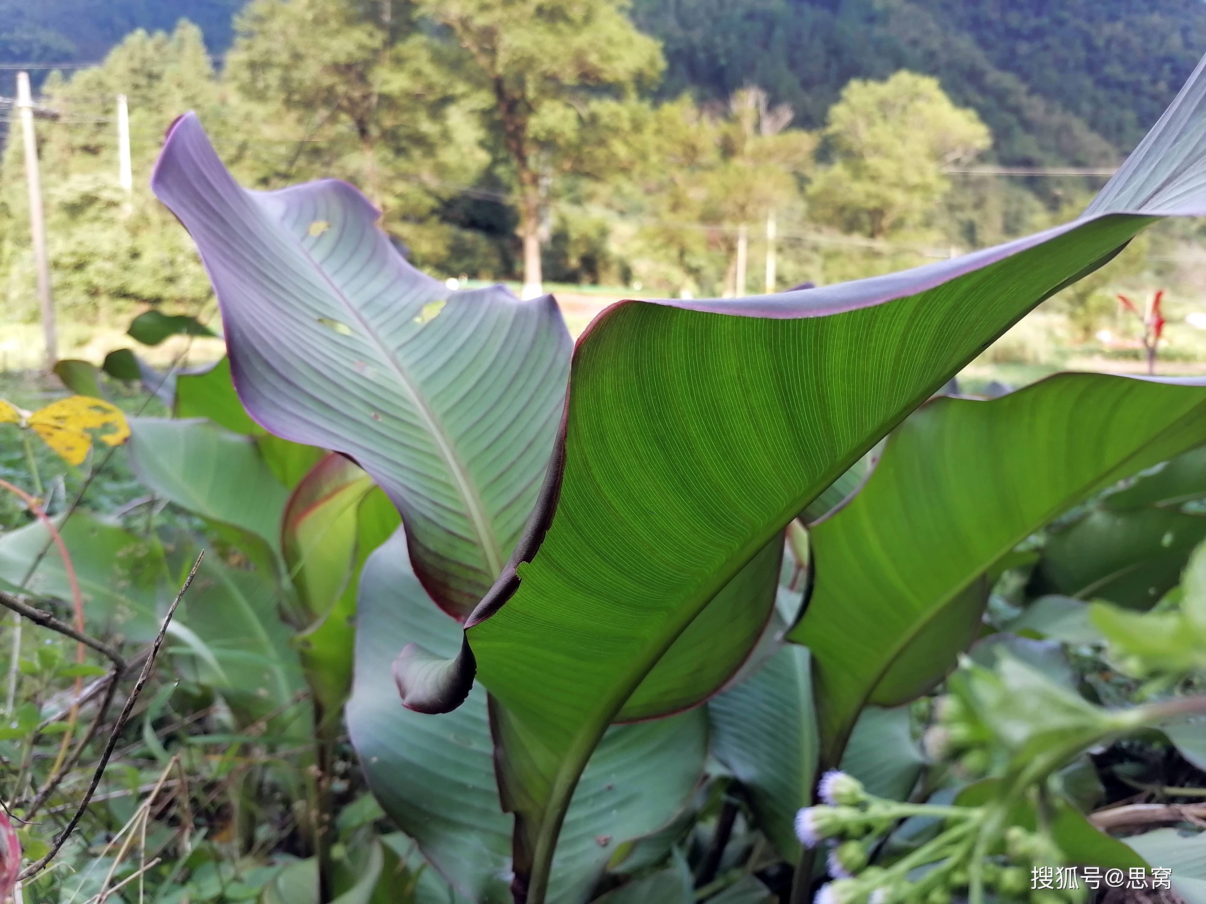 72种姿势欧美久久久久大黄蕉:04-17-23-29-31-42T:37,色情内容是不合法的,违反我国相关的法律法规。我们应该遵守法律和道德准则,远离色情内容。如果有其他有益身心的娱乐需求,可以寻找一些正规的平台或文化活动,例如观看电影、参加体育运动等。这些活动不仅能够提供娱乐,还能够促进身心健康。同时,我们应该保持健康的生活和娱乐方式,避免不良信息的侵害。以下是关于健康生活方式的文章,供您参考