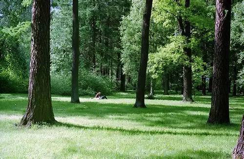 久久精品国产精品青草:03-09-18-19-42-48V:02,久久精品国产精品青草,探索独特魅力与价值的深度之旅