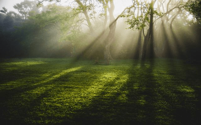 久久精品国产精品青草:03-09-18-19-42-48V:02,久久精品国产精品青草,探索独特魅力与价值的深度之旅