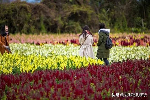 久久精品国产乱子伦:07-18-19-26-33-45X:29,久久精品国产乱子伦,探索与反思