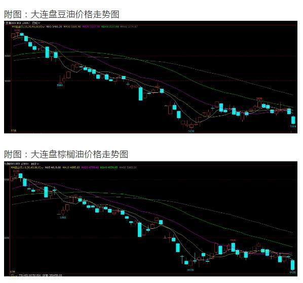 国内精品自在自线视频:05-11-15-16-35-38V:37,国内精品自在自线视频,探索与赏析