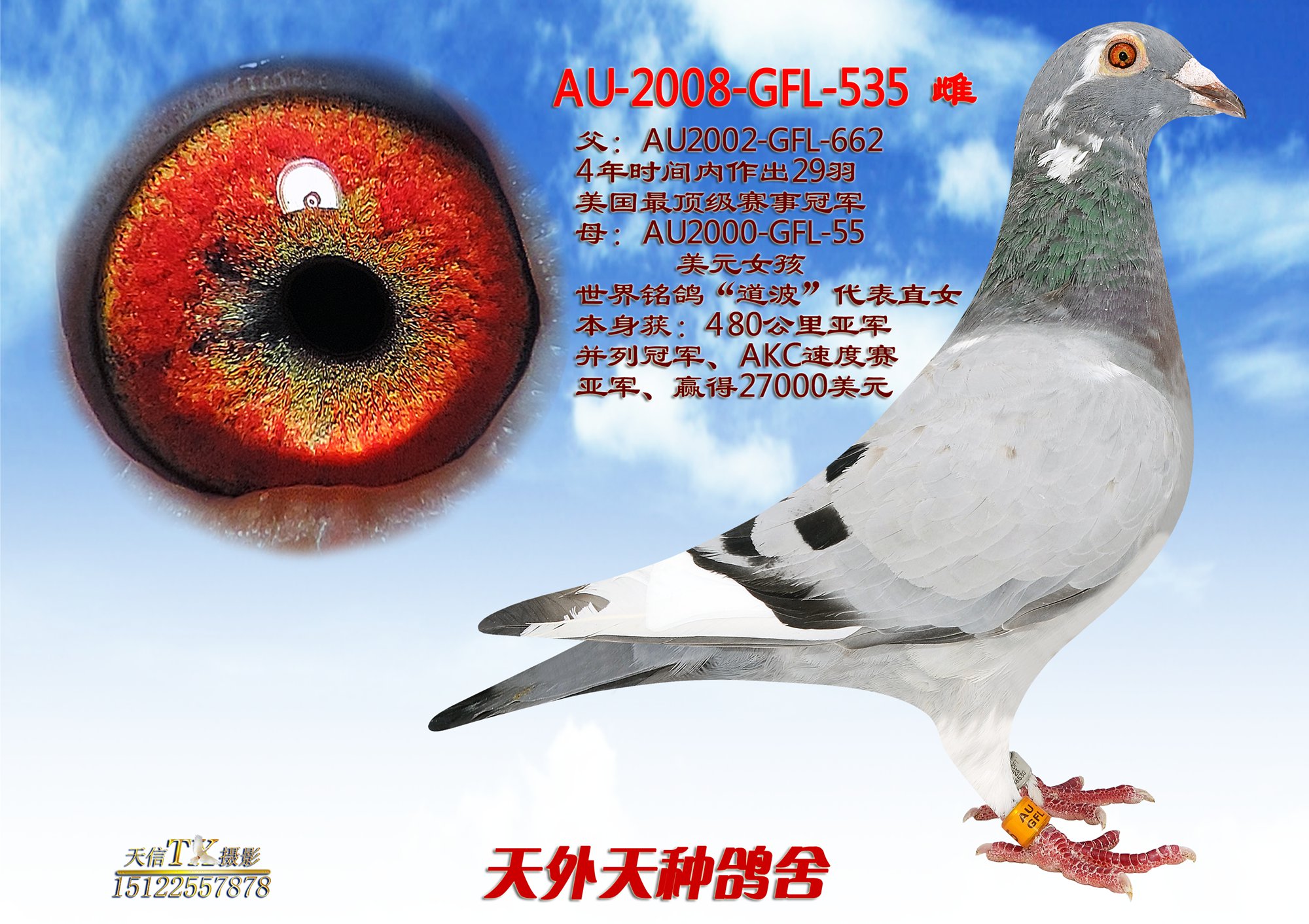 中文а√天堂在线:08-09-34-35-42-44X:34,中文а√天堂在线,探索数字背后的神秘世界