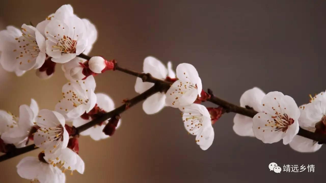 婷婷五月中文字幕在线:15-23-24-32-34-40R:35,婷婷五月中文字幕在线的魅力,一场视觉与情感的盛宴