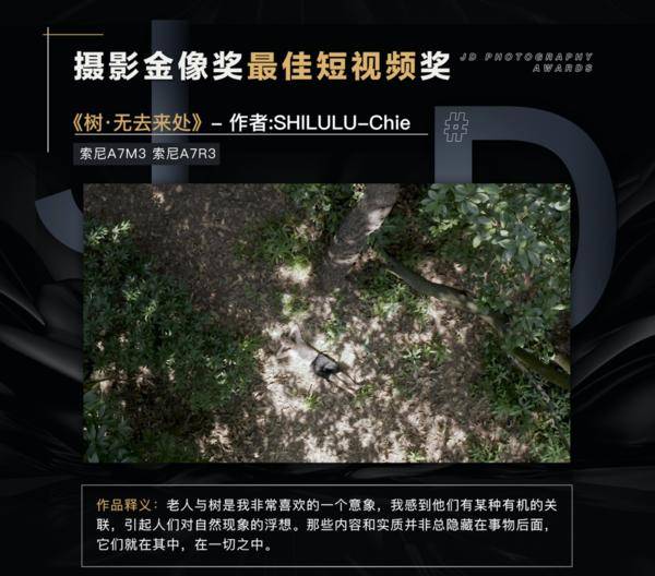 又爽又黄又无遮掩的免费视频:03-04-09-28-35-38R:42,探索网络世界的独特魅力,又爽又黄又无遮掩的免费视频