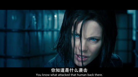 白纸黑字 第3页