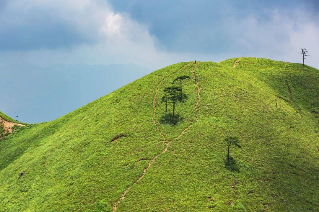 国产一区二区三四区:09-18-25-27-38-48J:41,国产影视产业的分区发展与多元探索,从一区到四区的深度解析(09-18-25-27-38-48J,41)