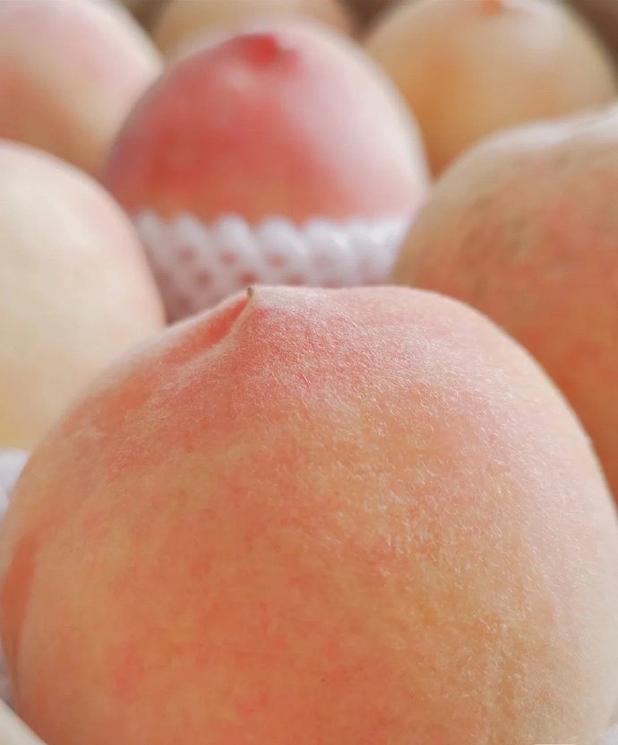 99久久99久久免费精品蜜桃:05-09-19-25-43-48M:05,探索蜜桃世界的奥秘,免费精品蜜桃体验之旅(05-09-19-25-43-48M)