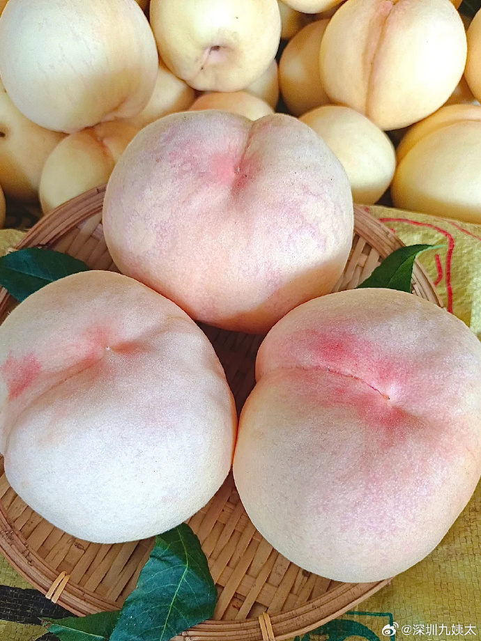 99久久99久久免费精品蜜桃:05-09-19-25-43-48M:05,探索蜜桃世界的奥秘,免费精品蜜桃体验之旅(05-09-19-25-43-48M)