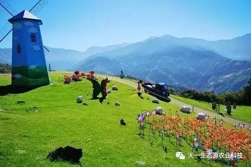 青青草原精品99久久精品66:11-18-19-27-28-31M:29,青青草原与精品世界的交融,探索99久久与66的无限魅力