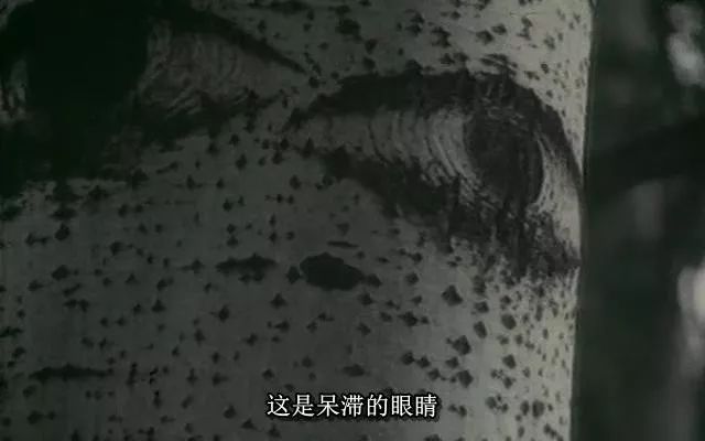 99国产欧美另类久久久精品:08-12-15-26-33-34M:39,探索99国产欧美另类久久久精品,一场跨越时空的文化交流之旅