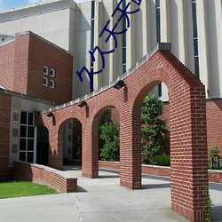 99久久天天躁狠狠躁夜夜躁:08-11-14-17-21-22K:05,探索生活激情,躁动的节奏与无尽的追求