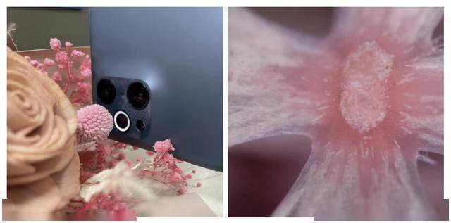 国产成人无码精品久久久露脸:08-13-33-39-45-48M:40,国产成人无码精品的崛起与探索,一种文化与技术的融合